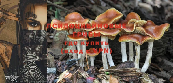 кокаин колумбия Богданович
